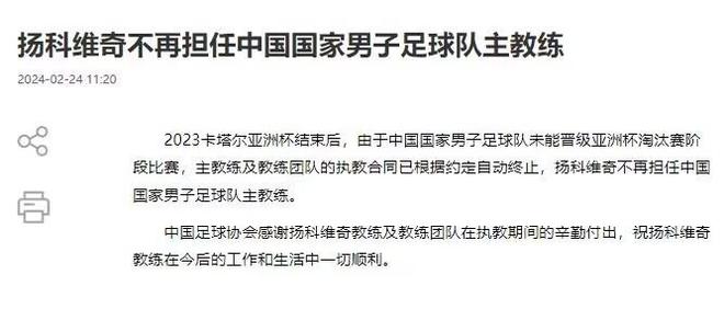 深圳新鹏城官宣新任主帅前国足西班牙助教正式接手的简单介绍