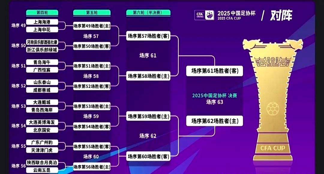 关于谁能拿下亚冠入场券？成都蓉城再遇山东泰山，过往战绩成的信息