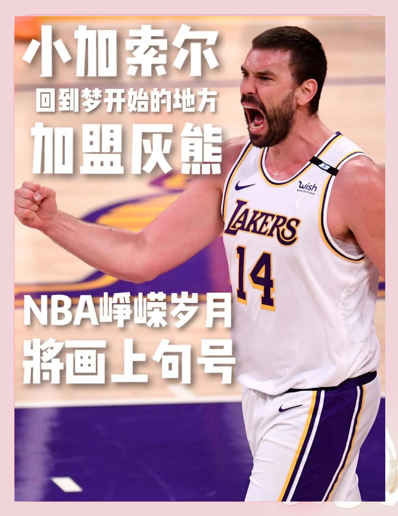 MK体育-小加索尔交易失利，猛龙队寻找新合作伙伴的简单介绍